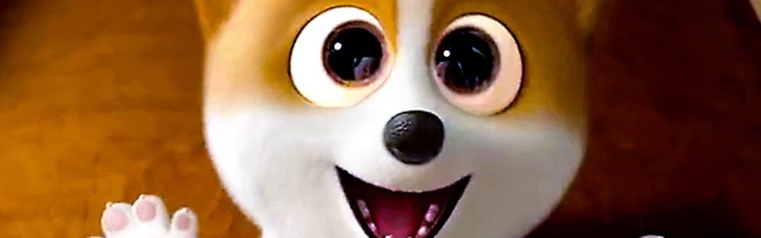 Zien in Noord: Corgi 6+