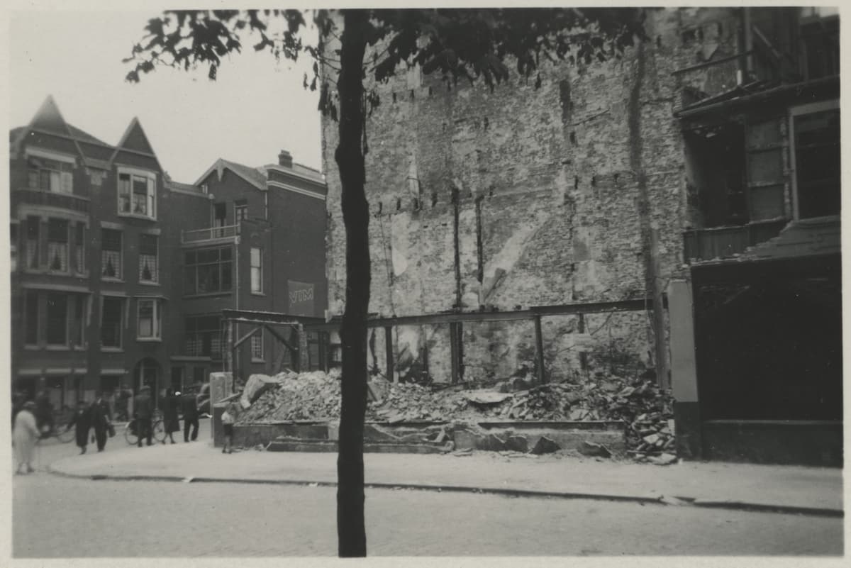 LOG 09B insulindestraat boom 