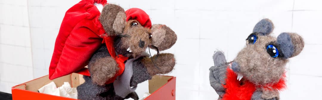 Het circus is begonnen – Geannuleerd