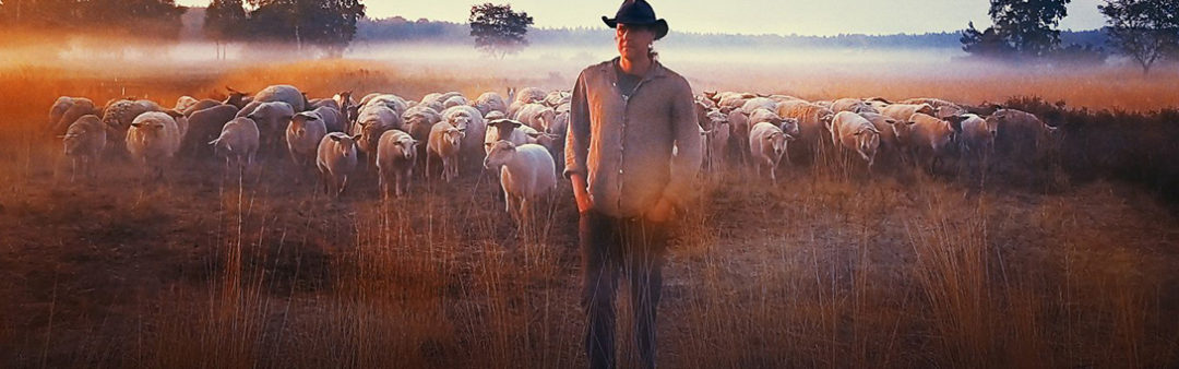 docu: Schapenheld