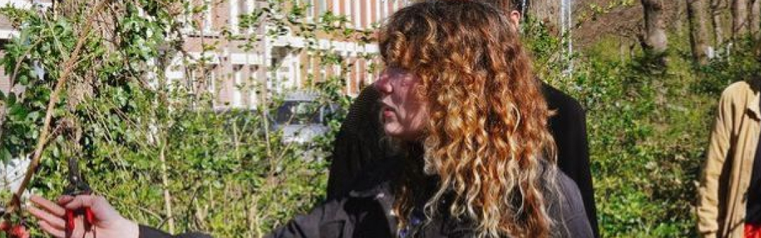 Workshop bomen en plantentocht door de wijk (6+)