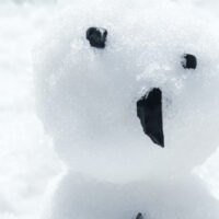 Workshop Ik ben een sneeuwpop! | De Cultuur School (6+)