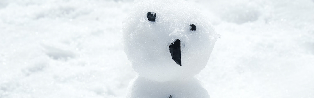 Workshop Ik ben een sneeuwpop! | De Cultuur School (6+)