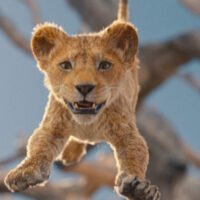 Mufasa: De Leeuwenkoning | CineNoord FilmKids (8+)