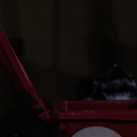 Knoei | THEATRA (3+)