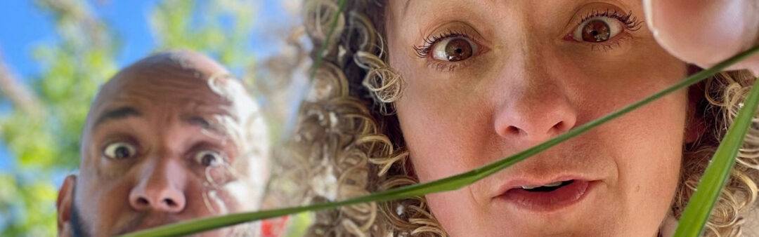 De Dinozoekers l Triceratops (5+)