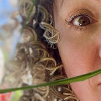 De Dinozoekers l Triceratops (5+)